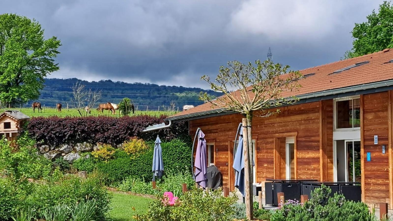 Le Paradis - Gites De Groupe La Roche-sur-Foron Exterior photo